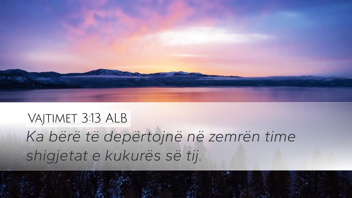 Vajtimet 3:13 ALB Bible Verse Image
