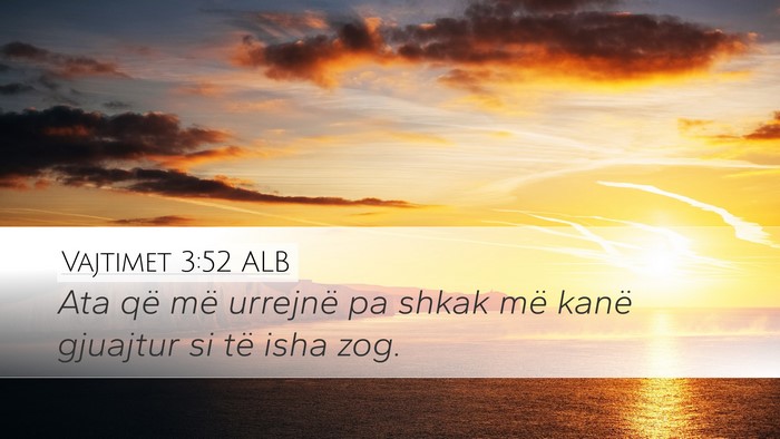 Vajtimet 3:52 ALB Bible Verse Image