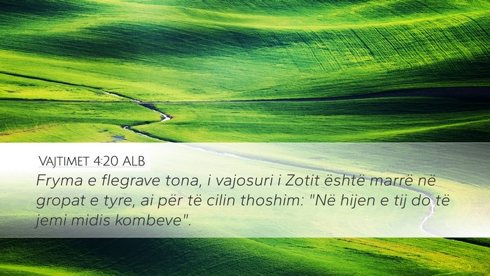 Vajtimet 4:20 ALB Bible Verse Image