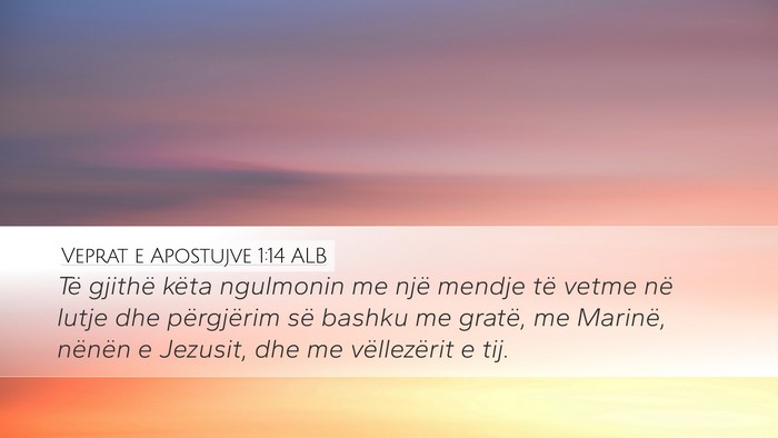 Veprat e Apostujve 1:14 ALB Bible Verse Image