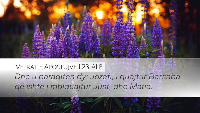 Veprat e Apostujve 1:23 ALB Bible Verse Image