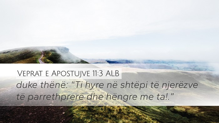 Veprat e Apostujve 11:3 ALB Desktop Wallpaper - duke thënë: “Ti hyre në shtëpi të - Desktop Bible Verse Wallpaper