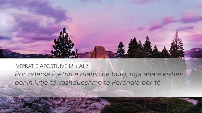 Veprat e Apostujve 12:5 ALB Bible Verse Image