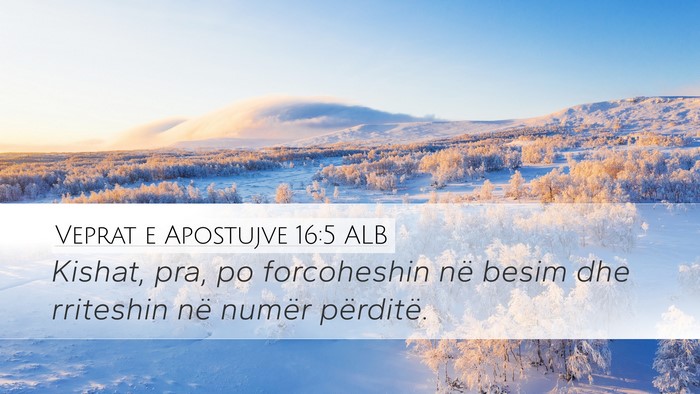 Veprat e Apostujve 16:5 ALB Bible Verse Image