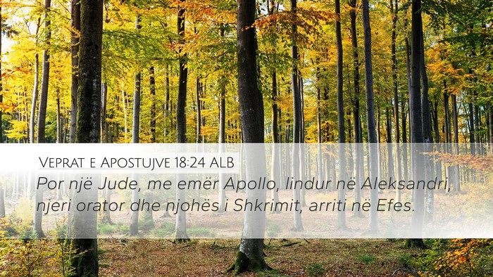 Veprat e Apostujve 18:24 ALB Bible Verse Image