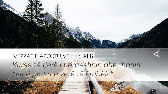 Veprat e Apostujve 2:13 ALB Bible Verse Image