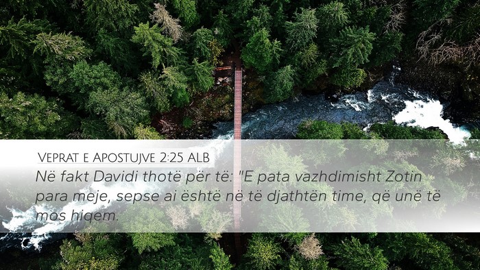 Veprat e Apostujve 2:25 ALB Bible Verse Image