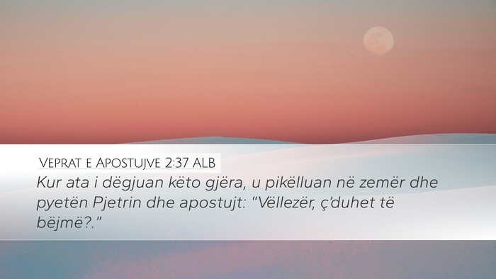 Veprat e Apostujve 2:37 ALB Bible Verse Image