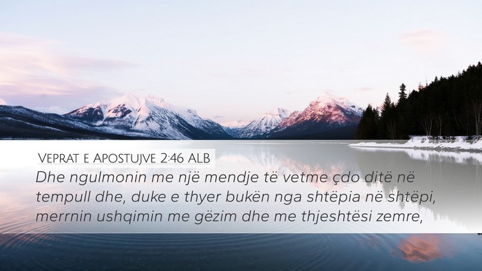 Veprat e Apostujve 2:46 ALB Bible Verse Image