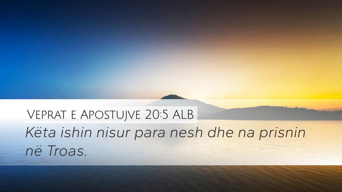 Veprat e Apostujve 20:5 ALB Bible Verse Image