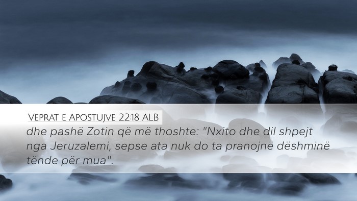 Veprat e Apostujve 22:18 ALB Bible Verse Image
