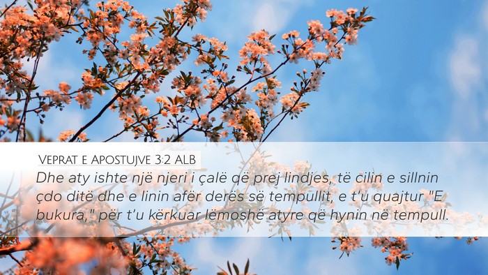 Veprat e Apostujve 3:2 ALB Bible Verse Image