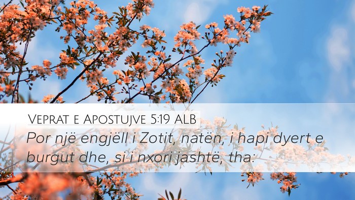 Veprat e Apostujve 5:19 ALB Bible Verse Image