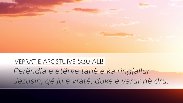 Veprat e Apostujve 5:30 ALB Bible Verse Image