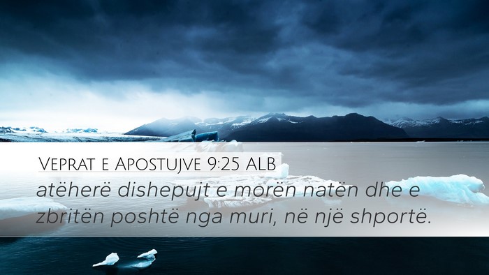 Veprat e Apostujve 9:25 ALB Bible Verse Image