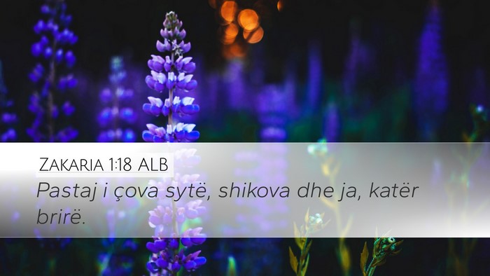 Zakaria 1:18 ALB Bible Verse Image
