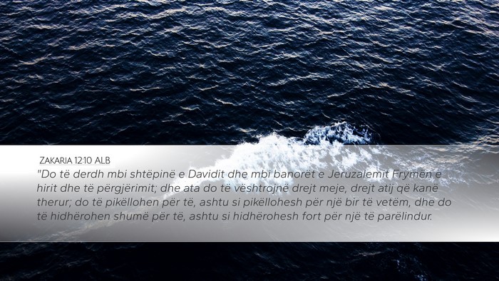 Zakaria 12:10 ALB Bible Verse Image