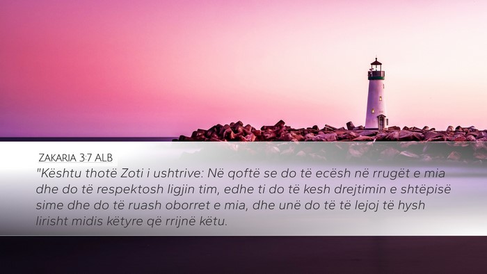 Zakaria 3:7 ALB Bible Verse Image