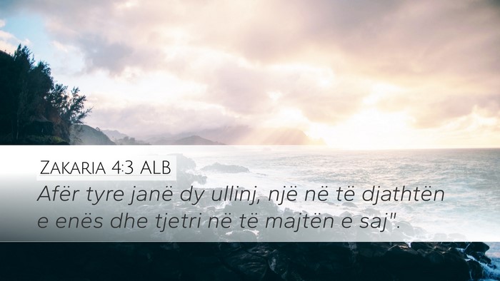 Zakaria 4:3 ALB Desktop Wallpaper - Afër tyre janë dy ullinj, një në të - Desktop Bible Verse Wallpaper