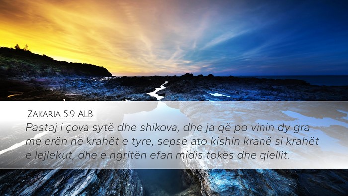 Zakaria 5:9 ALB Bible Verse Image