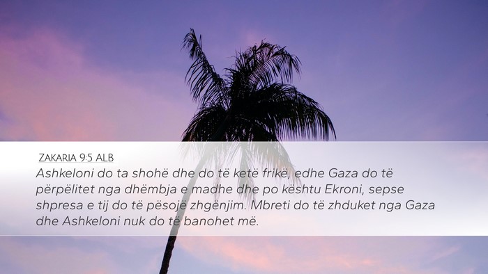 Zakaria 9:5 ALB Bible Verse Image