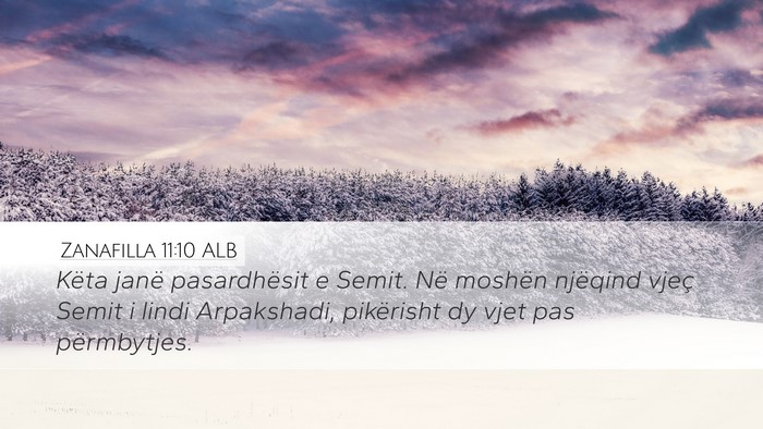 Zanafilla 11:10 ALB Bible Verse Image