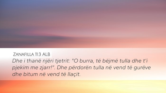 Zanafilla 11:3 ALB Bible Verse Image