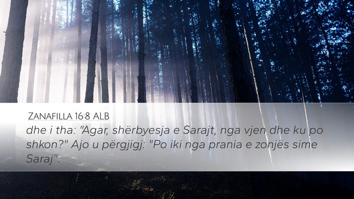 Zanafilla 16:8 ALB Bible Verse Image