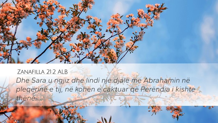 Zanafilla 21:2 ALB Bible Verse Image