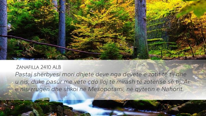 Zanafilla 24:10 ALB Bible Verse Image