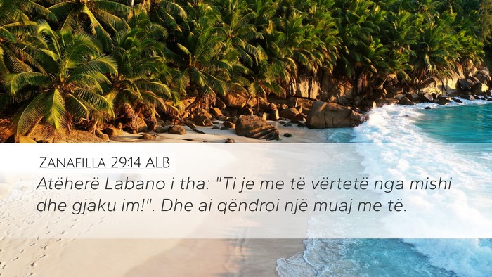 Zanafilla 29:14 ALB Bible Verse Image
