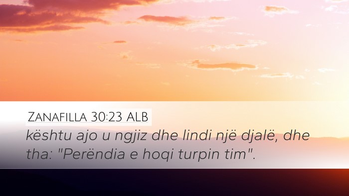 Zanafilla 30:23 ALB Desktop Wallpaper - kështu ajo u ngjiz dhe lindi një djalë, dhe - Desktop Bible Verse Wallpaper