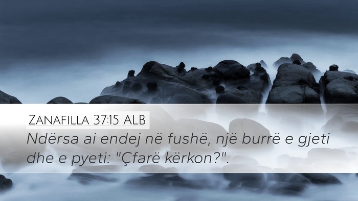 Zanafilla 37:15 ALB Desktop Wallpaper - Ndërsa ai endej në fushë, një burrë e gjeti - Desktop Bible Verse Wallpaper