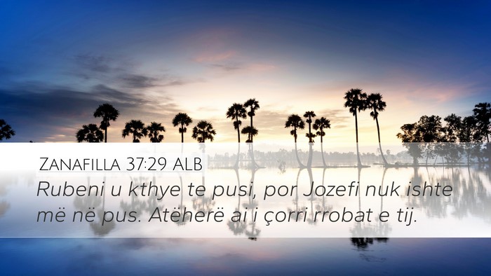 Zanafilla 37:29 ALB Bible Verse Image