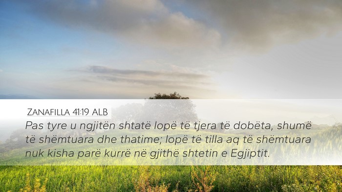 Zanafilla 41:19 ALB Desktop Wallpaper - Pas tyre u ngjitën shtatë lopë të tjera të - Desktop Bible Verse Wallpaper