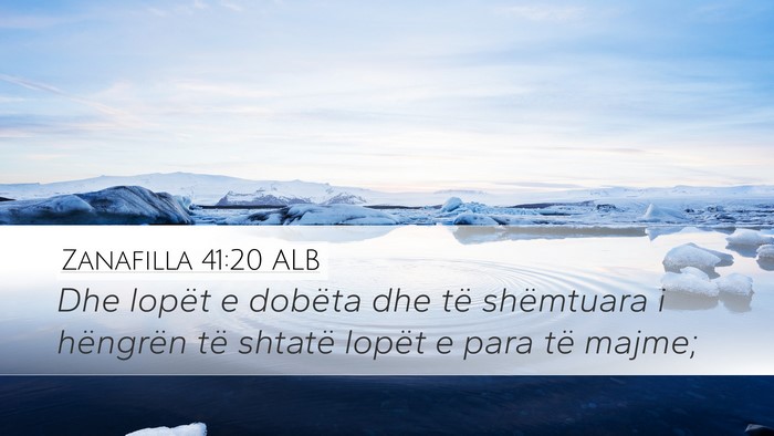 Zanafilla 41:20 ALB Bible Verse Image