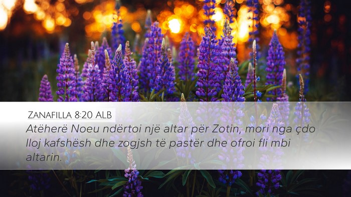 Zanafilla 8:20 ALB Bible Verse Image