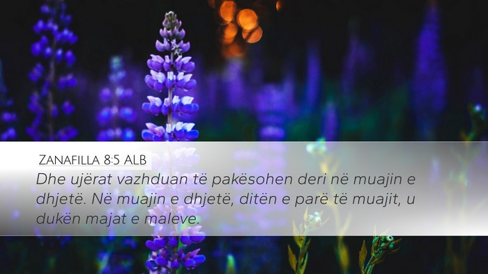 Zanafilla 8:5 ALB Bible Verse Image