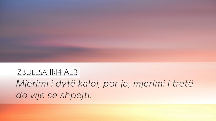 Zbulesa 11:14 ALB Bible Verse Image