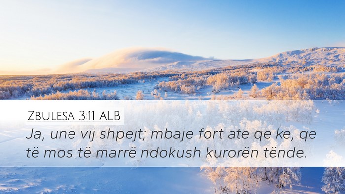 Zbulesa 3:11 ALB Bible Verse Image