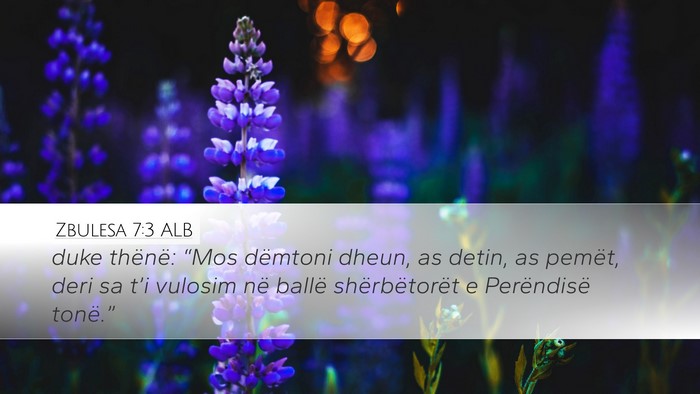 Zbulesa 7:3 ALB Bible Verse Image