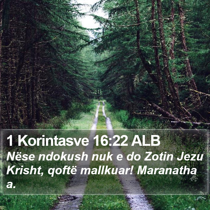 1 Korintasve 16:22 ALB - Nëse ndokush nuk e do Zotin Jezu Krisht, qoftë