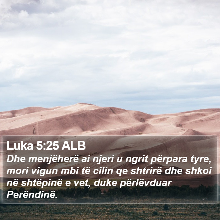 Luka 5:25 ALB - Dhe menjëherë ai njeri u ngrit përpara tyre,
