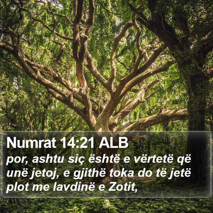 Numrat Rreshtor Numrat 14:21 ALB - por, ashtu siç është e vërtetë që unë