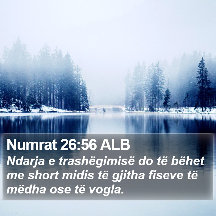 Numrat Rreshtor Numrat 26:56 ALB - Ndarja e trashëgimisë do të bëhet me short