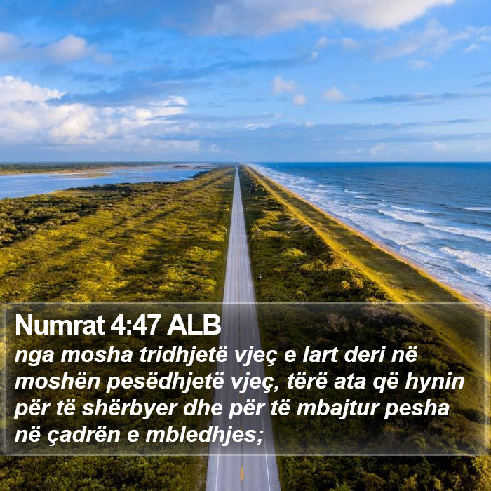 Numrat Rreshtor Numrat 4:47 ALB - nga mosha tridhjetë vjeç e lart deri në