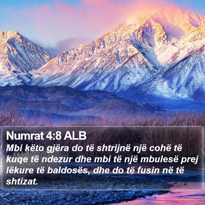 Numrat Rreshtor Numrat 4:8 ALB - Mbi këto gjëra do të shtrijnë një cohë të