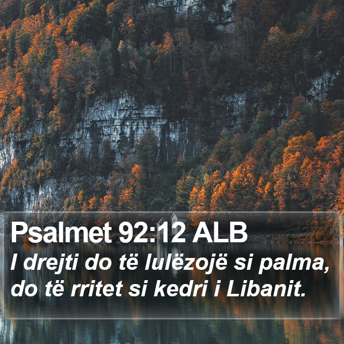 Psalmet 92:12 ALB - I drejti do të lulëzojë si palma, do të - Bible Verse Picture