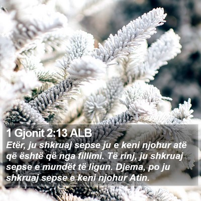 1 Gjonit 2:13 ALB Bible Verse Image