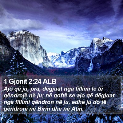 1 Gjonit 2:24 ALB Bible Verse Image